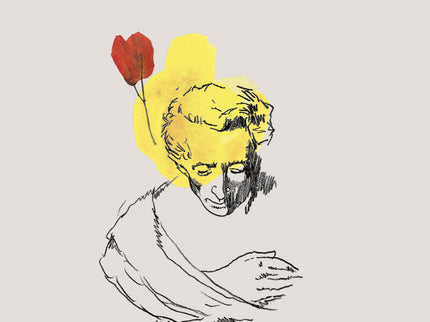 Libro De Los Dias De Stanislaus Joyce