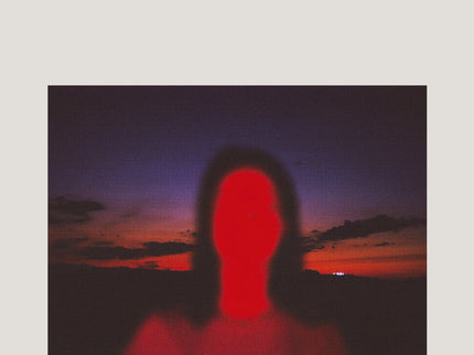 El Día Que Apagaron La Luz