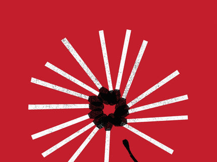 Libro Saber Perder: Sylvia cumple dieciséis años el día en que comienza esta novela. Para celebrarlo organiza una falsa fiesta que sólo tiene un invitado.
