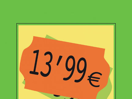 Libro 13,99 Euros: Octave Parango, creativo publicitario, es un joven triunfador;forma parte de quienes deciden lo que e