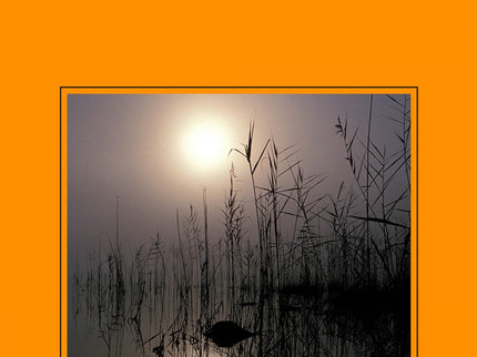 Libro En La Orilla: El hallazgo de un cada?ver en el pantano de Olba pone en marcha la narracio?n. Su protagonista, Este