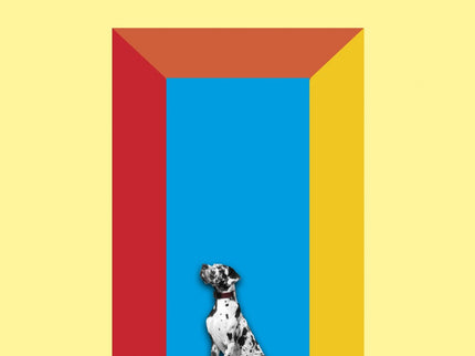 Libro El Amigo: La protagonista y narradora de esta novela es una escritora neoyorquina que pierde de forma inesperada a su gran amigo y mentor, y de forma no menos inesperada se ve obligada a hacerse cargo de su perro ?un enorme y artrítico gran danés?, que se ha quedado solo y traumatizado por la súbita desaparición de su amo. La protagonista no tendrá otro remedio que llevárselo a su minúsculo apartamento, arriesgándose a que la echen porque en el edificio está prohibido tener animales.