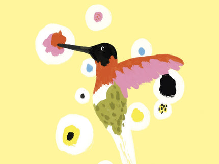 Libro El Colibrí: Una bellísima novela sobre el amor, la superación y el optimismo. Una lección de literatura y de vida merecedora del Premio Strega.