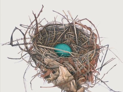 Libro La Hija única: Tres mujeres enfrentadas a la maternidad. Tres maneras de afrontarla.
