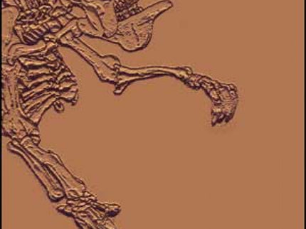 Libro El Origen De Las Especies: Esta edición da un nuevo frescor a la obra maestra de la evolución. El texto ha sido adaptado por los científicos Juli Peretó y Andrés Moya de la lengua inglesa original, intentando aligerarlo para los lectores no especialistas, sobre todo acortando la diversidad de ejemplos.