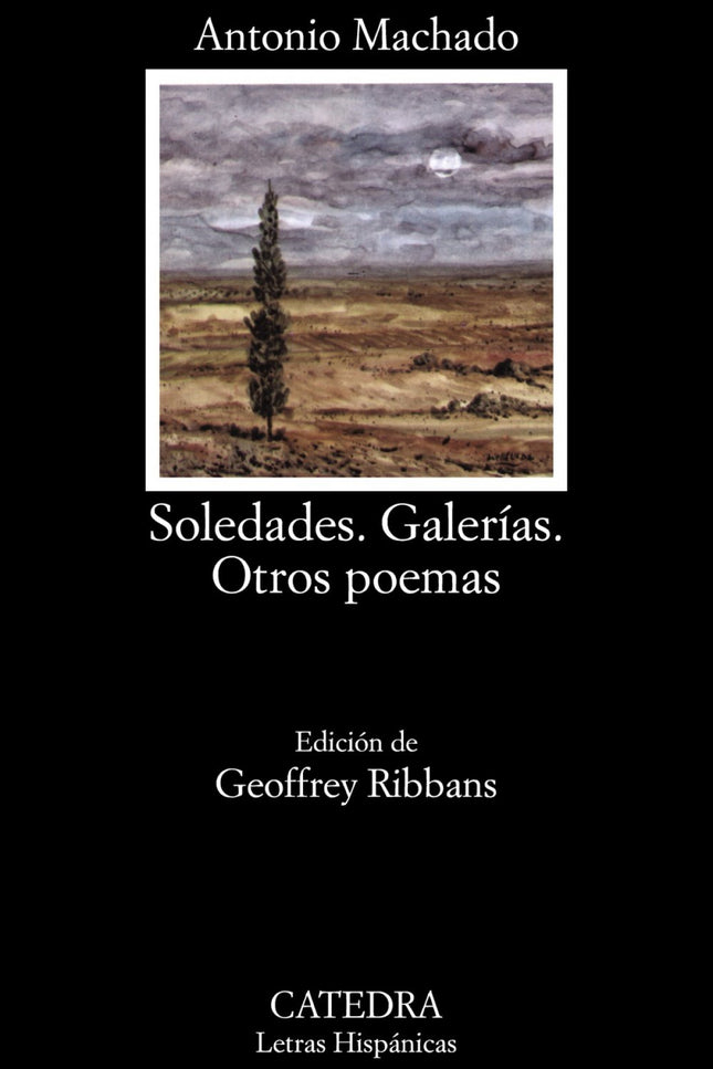 Libro Soledades;galerías;otros Poemas: Introducción. Texto y notas de «Soledades. Galerías. Otros poemas».