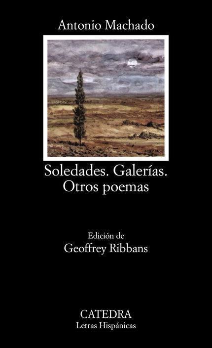 Libro Soledades;galerías;otros Poemas: Introducción. Texto y notas de «Soledades. Galerías. Otros poemas».