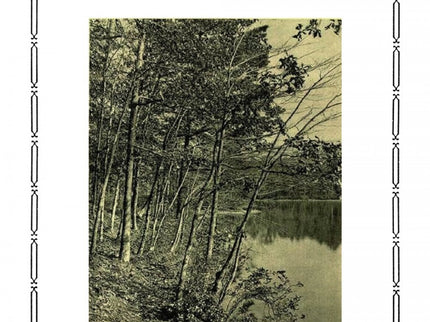 Libro Walden: .