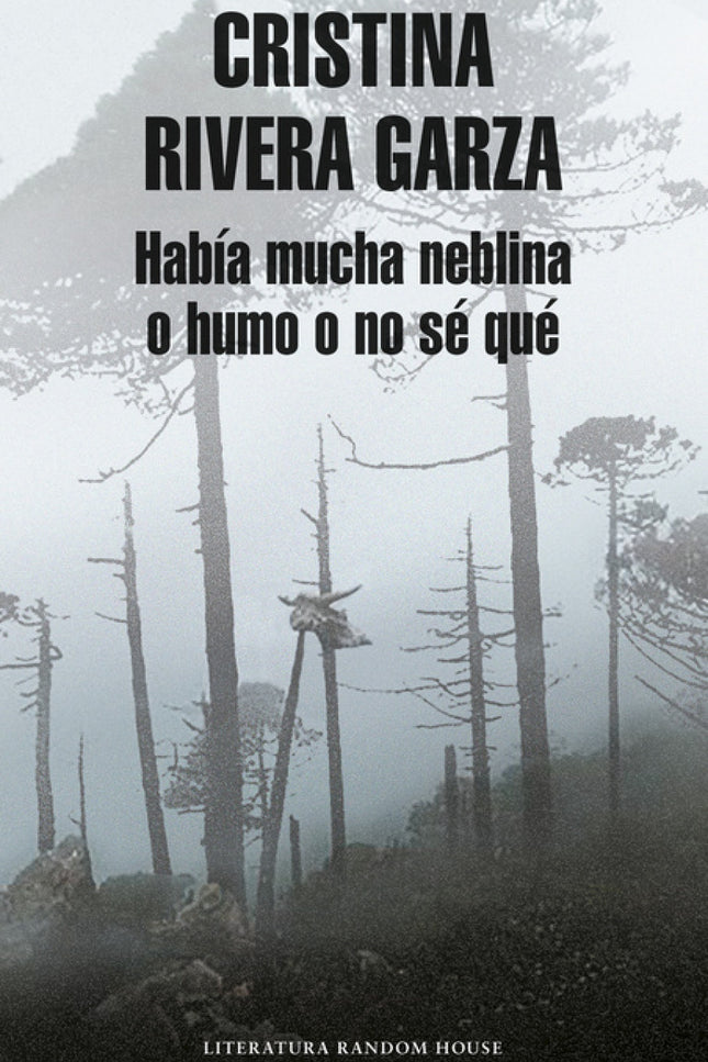 Había Mucha Neblina O Humo O No Sé Qué