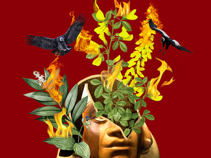 Huaco Retrato