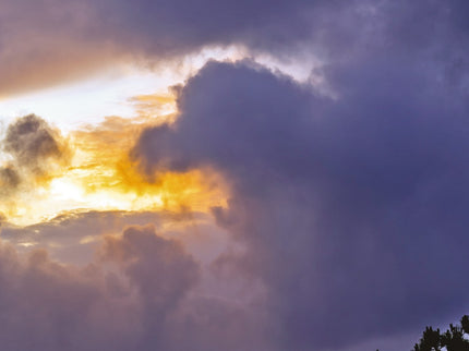 Oscuridad Luminosa, La