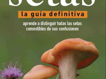 Setas, Guía Definitiva