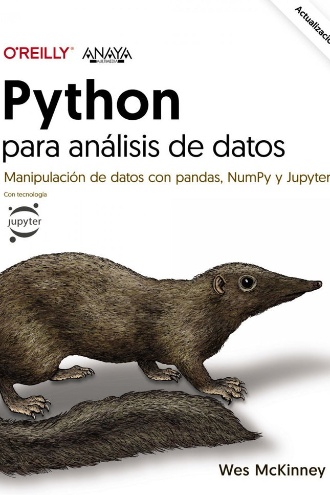 PYTHON PARA ANALISIS DE DATOS - Wes Mckinney - RUSTICA