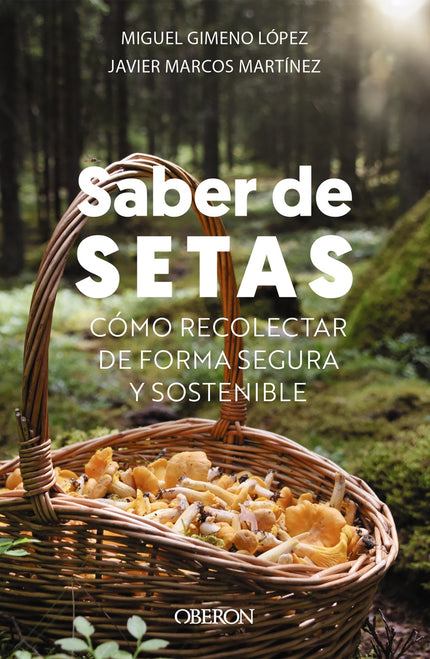 Saber De Setas