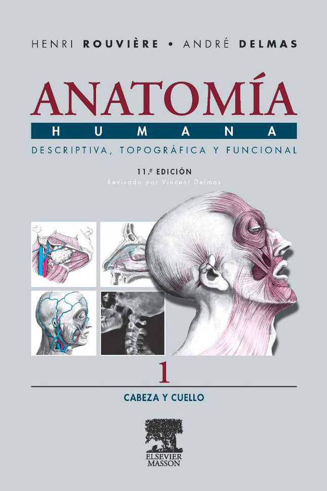Libro Anatomia Humana Descriptiva Topografica Funcional:cabeza Y Cuello: Se trata de la nueva edición del Tratado de Ana