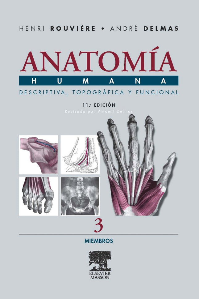 Libro Anatomia Humana Descriptiva Topografica Funcional:miembros: Se trata de la nueva edición del Tratado de Anatomía h