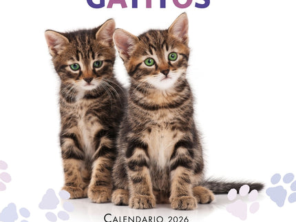 Calendario Gatitos 2026