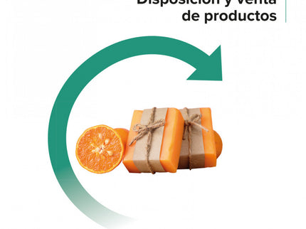Disposicion Y Venta De Productos Gm 24 Cf