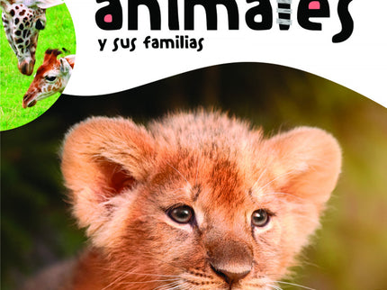 Baby Animales Y Sus Familias