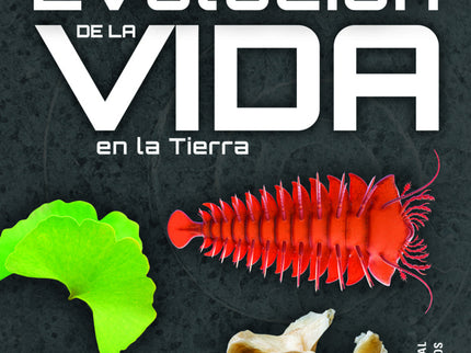 Evolución De La Vida En La Tierra