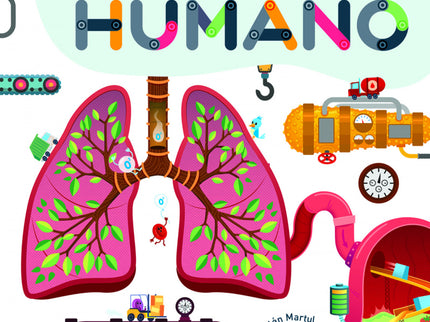 Recorre El Cuerpo Humano