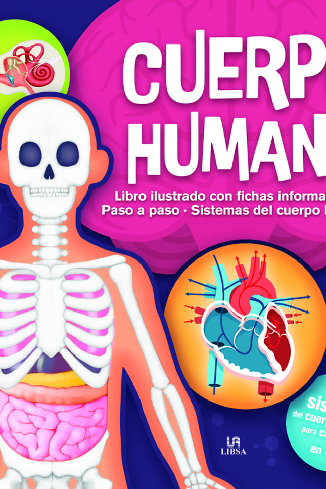 Cuerpo Humano