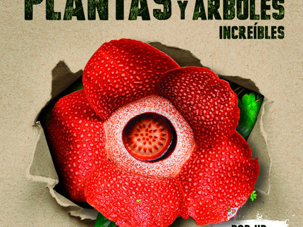 Plantas Y árboles Increíbles