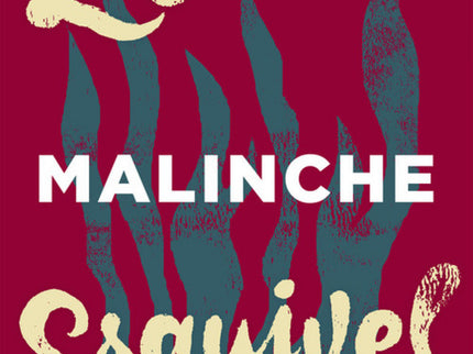 Libro Malinche: Una novela sobre uno de los personajes más controvertidos de la historia de México: la Malinche, la admi