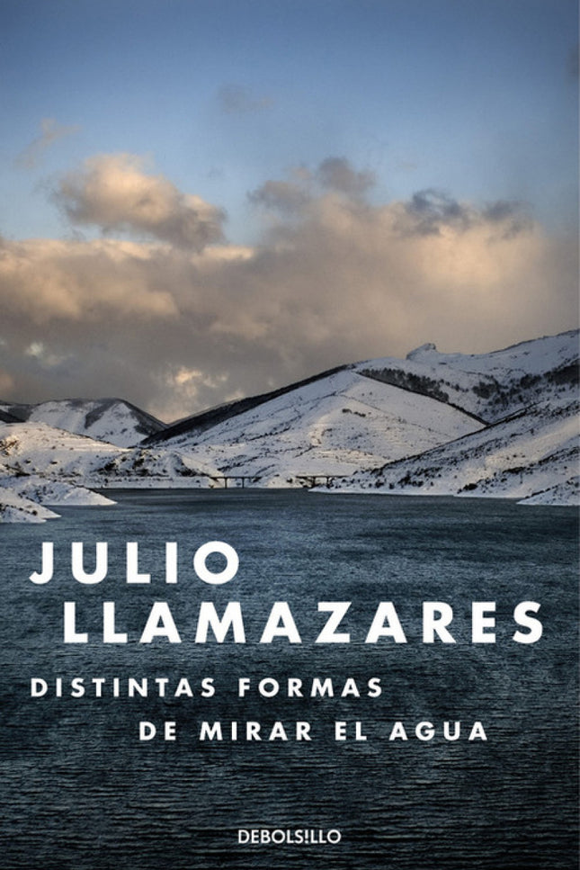 Libro Distintas Formas De Mirar El Agua: ¿Puedes regresar a un lugar del que nunca te marchaste? Una novela sobre el des