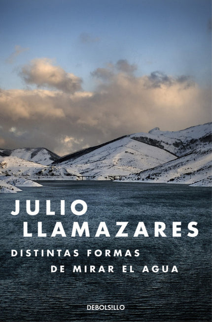 Libro Distintas Formas De Mirar El Agua: ¿Puedes regresar a un lugar del que nunca te marchaste? Una novela sobre el des
