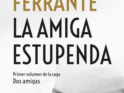 Libro La Amiga Estupenda: Una joya de la literatura contemporánea que ya ha fascinado a más de medio millón de lectores 