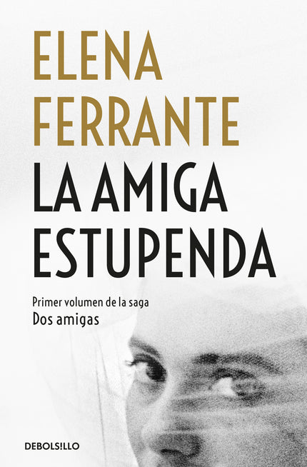 Libro La Amiga Estupenda: Una joya de la literatura contemporánea que ya ha fascinado a más de medio millón de lectores 