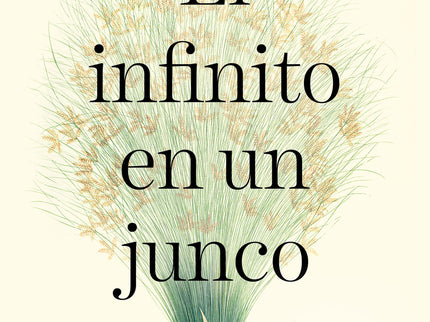 El Infinito En Un Junco