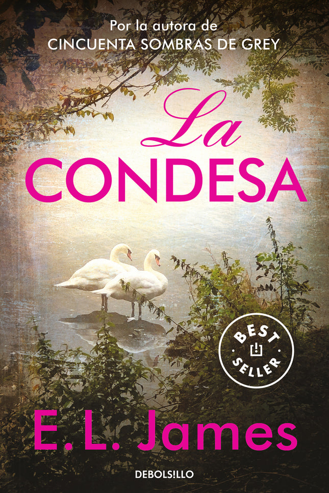 La Condesa (mister 2)