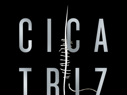 Libro Cicatriz: «Una obra maestra del género.» ABC Una novela del autor español de thriller más leído en todo el mundo. Simon Sax podría ser un tipo afortunado.