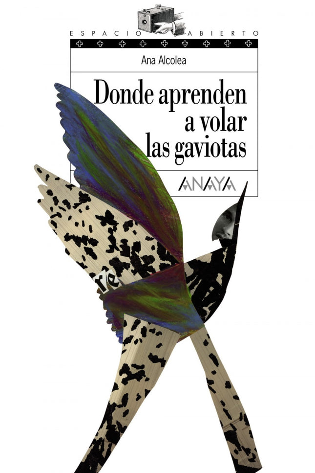 Donde Aprenden A Volar Las Gaviotas