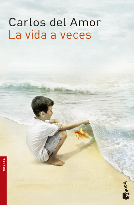 Libro La Vida A Veces: La vida a veces es sólo una fotografía, una noticia inesperada, un viaje en autobús? La vida a ve