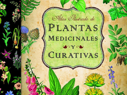 Libro Atlas Ilustrado De Las Plantas Medicinales Y Curativas: Esta obra describe una gran variedad de plantas medicinale
