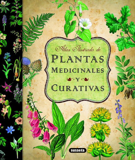 Libro Atlas Ilustrado De Las Plantas Medicinales Y Curativas: Esta obra describe una gran variedad de plantas medicinale