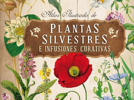 Libro Plantas Silvestres E Infusiones Curativas: Esta obra ofrece un extenso y riguroso catálogo de plantas silvestres, 