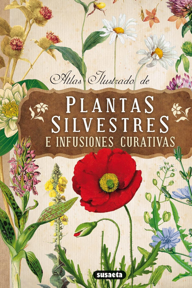 Libro Plantas Silvestres E Infusiones Curativas: Esta obra ofrece un extenso y riguroso catálogo de plantas silvestres, 