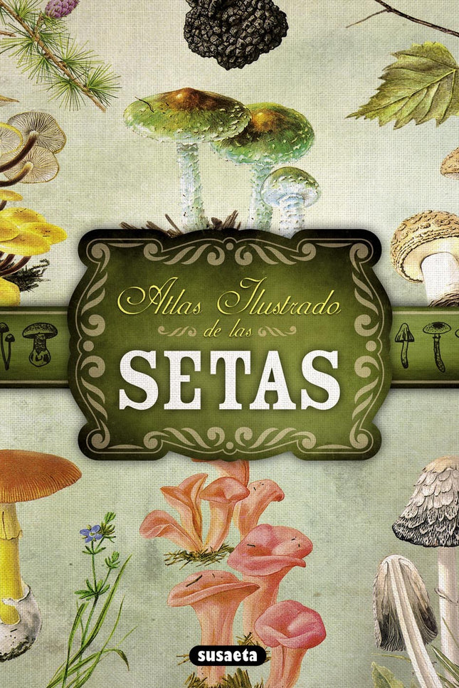 Atlas Ilustrado De Setas