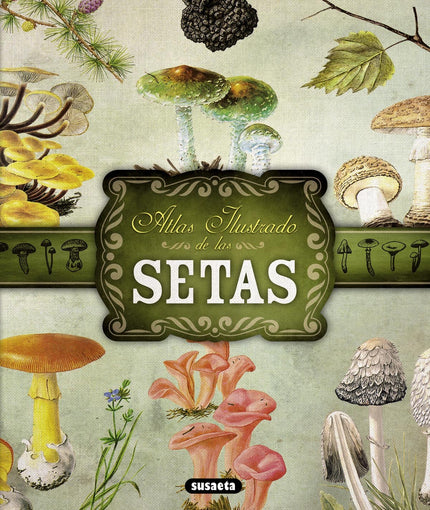Atlas Ilustrado De Setas