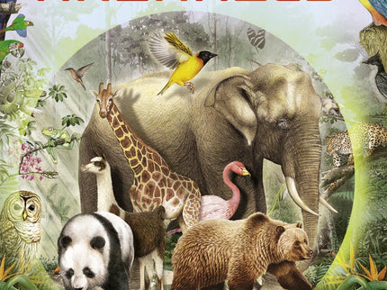 Libro Los Animales: Con este libro descubrirás toda la diversidad animal: las especies más extrañas, la asombrosa capaci