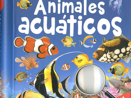 Busca Y Descubre Animales Acuáticos