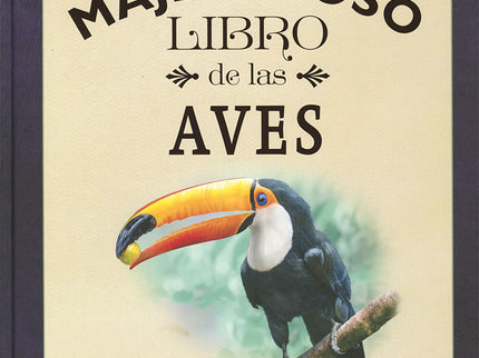 Libro El Majestuoso Libro De Las Aves: Desde el impresionante cóndor africano hasta el diminuto colbrí, este libro incluye una amplia selección de aves, magníficamente ilustradas a gran tamaño y acompañadas de datos sobre cada animal. Un espectacular libro con el que podrás conocer más de cerca aves como el exótico quetzal mesoamericano o el increíble pingüino emperador.