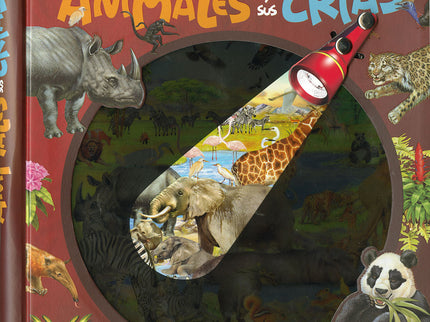 Animales Y Sus Crías