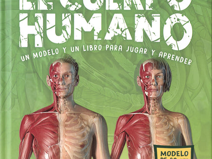 El Cuerpo Humano