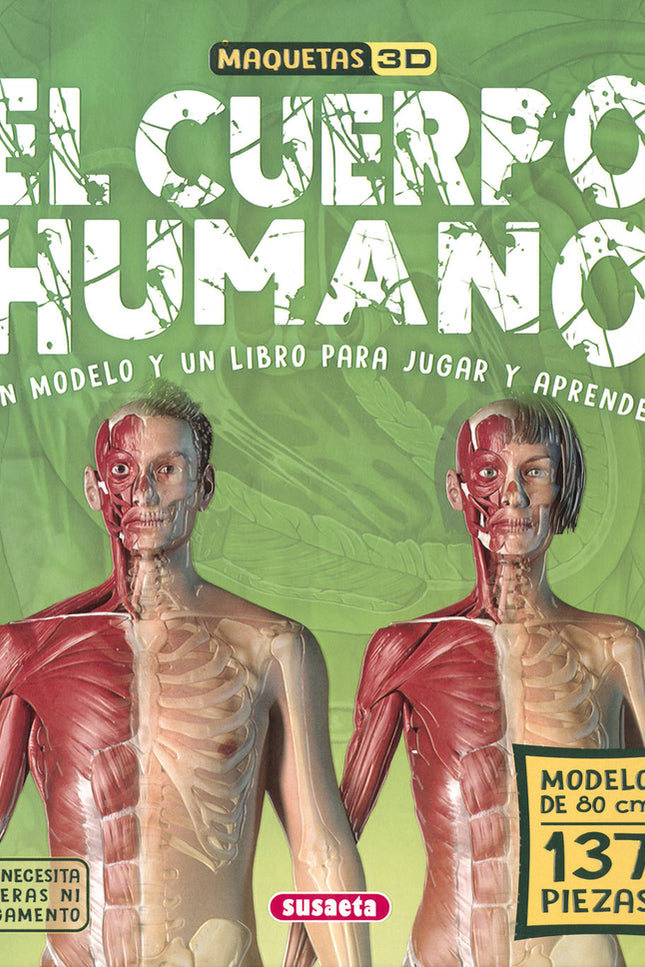 El Cuerpo Humano