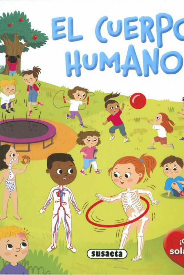 El Cuerpo Humano